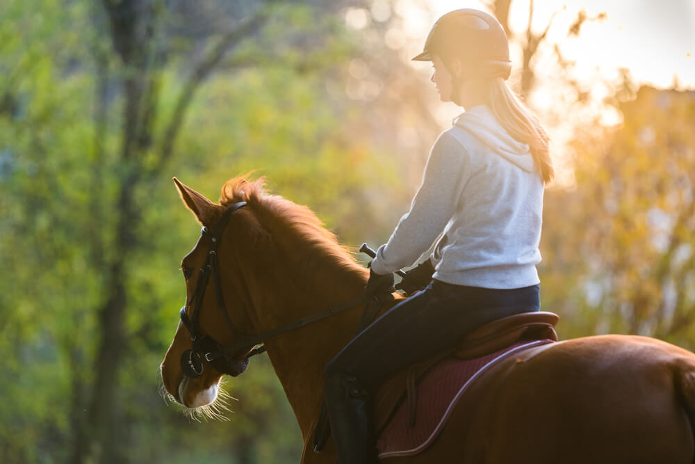 Your Guide to Broken Bow Horseback Riding